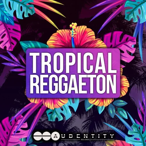 【Tropical Reggaeton风格采样包】Audentity Records – Tropical Reggaeton Vol 1+2