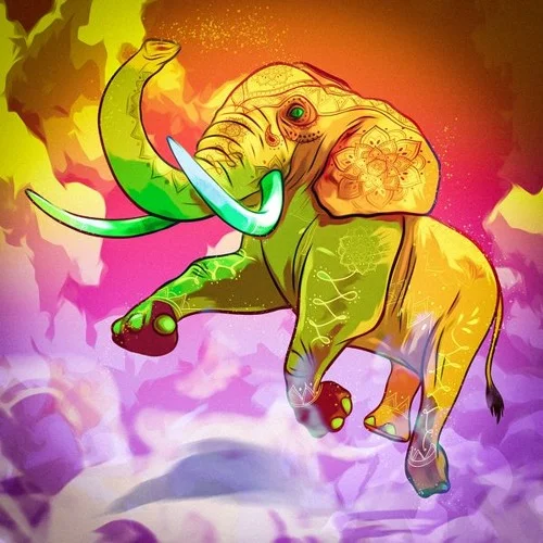 【印度民谣采样包】Noiiz North Indian Folk by Neeta