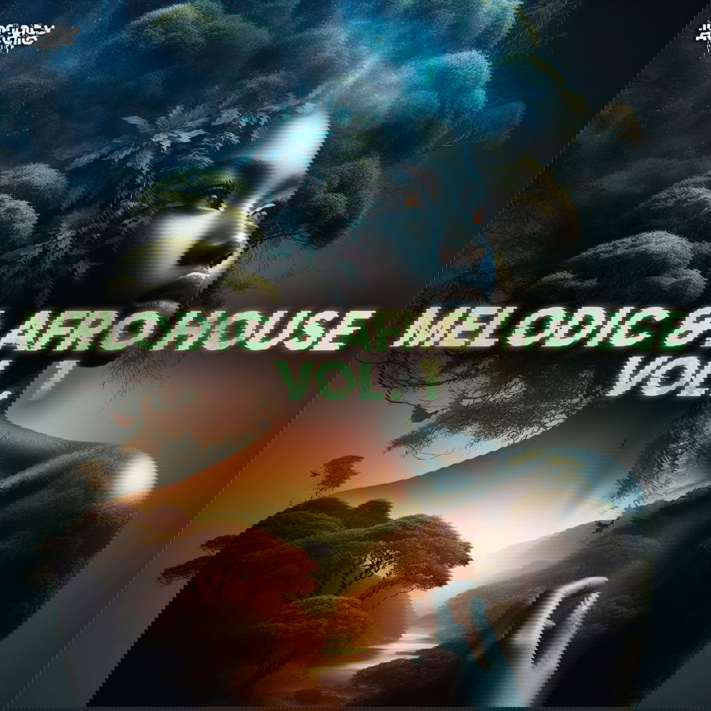 【Afro House多风格采样包】Infinity Audio Melodic and Afro House Vol 1
