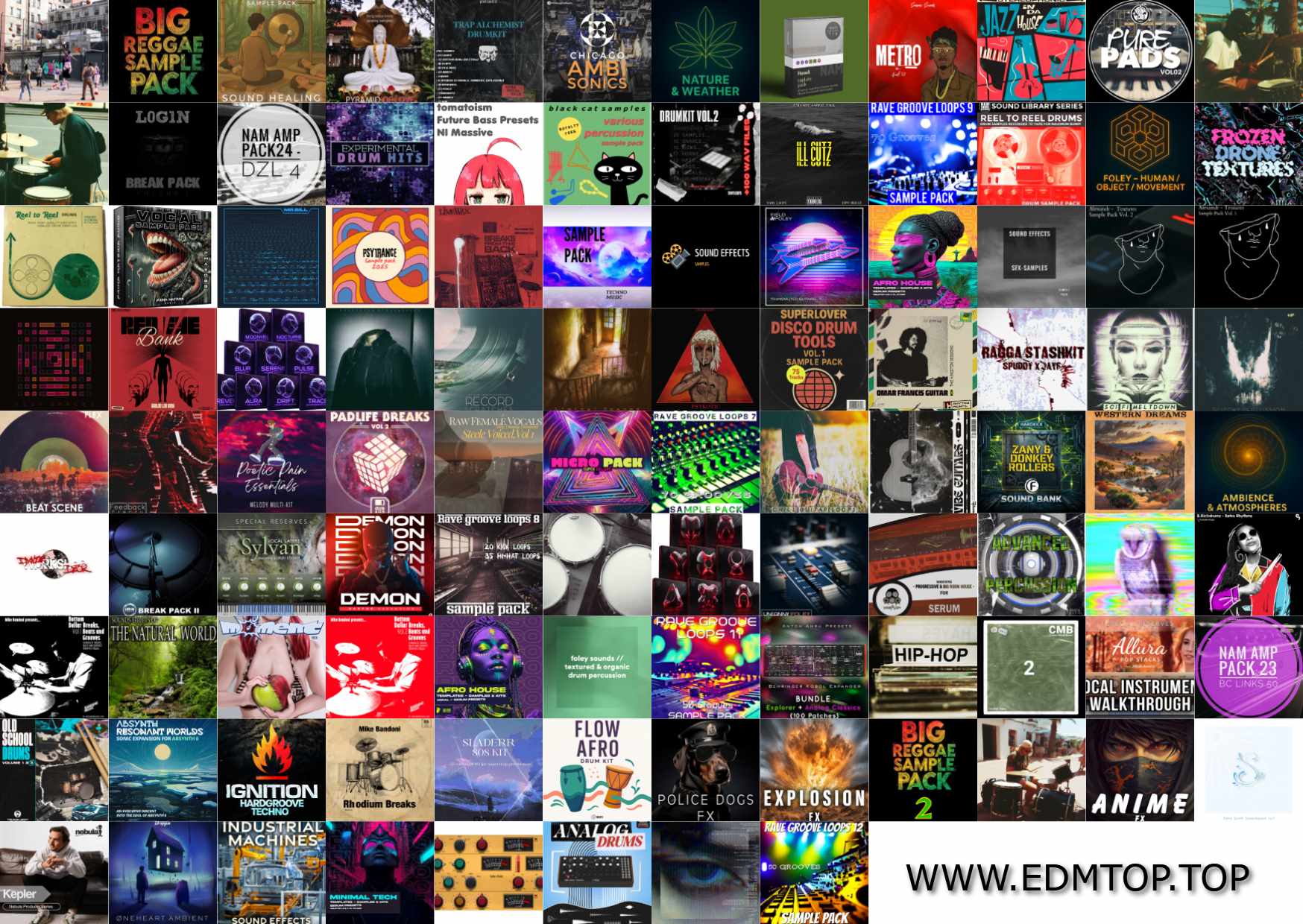 【EDM多风格采样包合集2026.2.16】SAMPLE PACK COLLECTION VOL.8