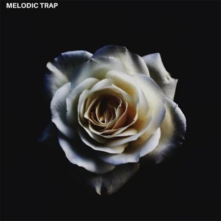 【Melodic Trap风格采样包】Triad Sounds – Modern Samples Melodic Trap