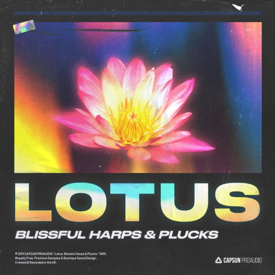 【Hip Hop & Chill多风格采样包】Capsun ProAudio – Lotus Blissful Harps And Pluck