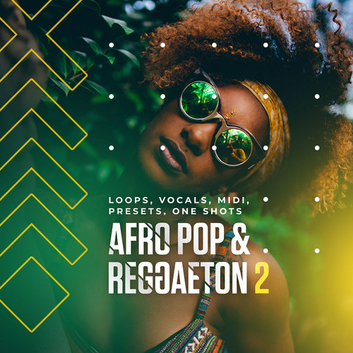 【Reggaeton & Afro Pop多风格采样包】Diginoiz Afro Pop And Reggaeton 2